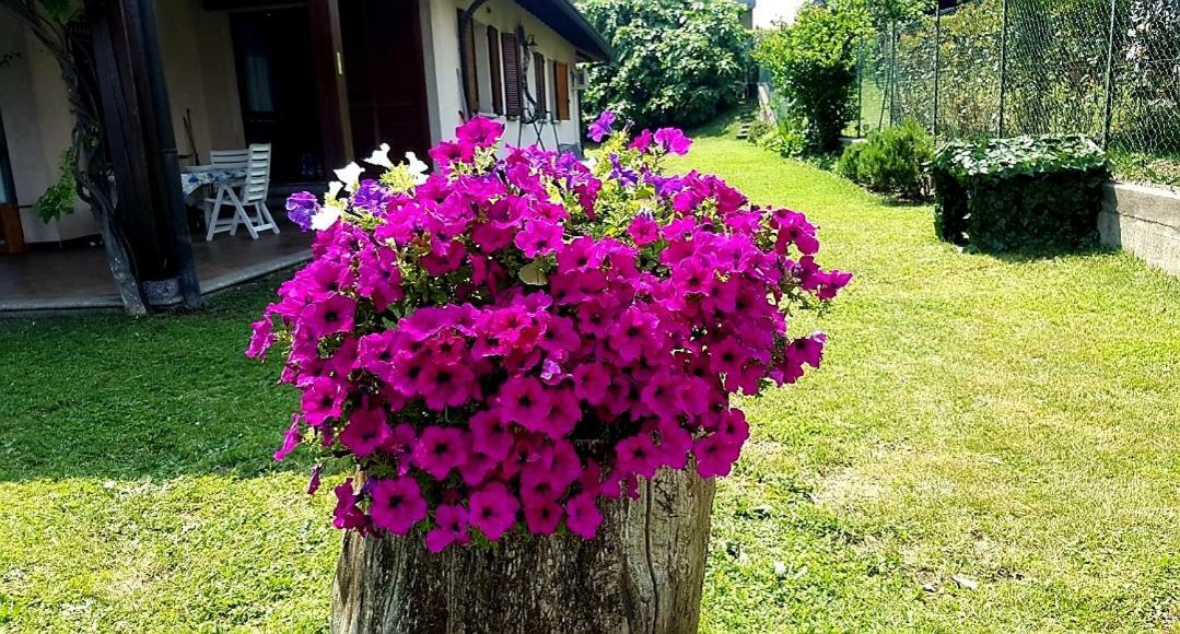 B&B Margot Albavilla Екстериор снимка